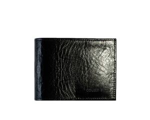 003569-ca10
